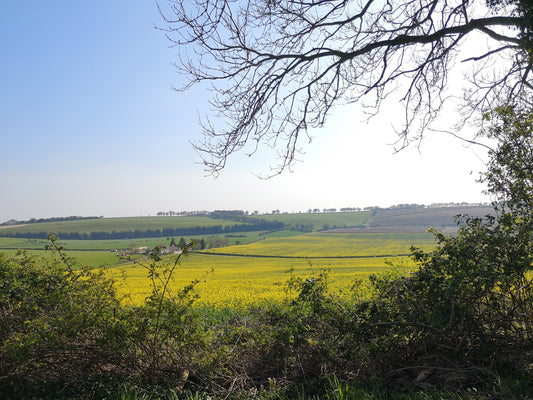 The Top Sights on The South Downs Way National Trail